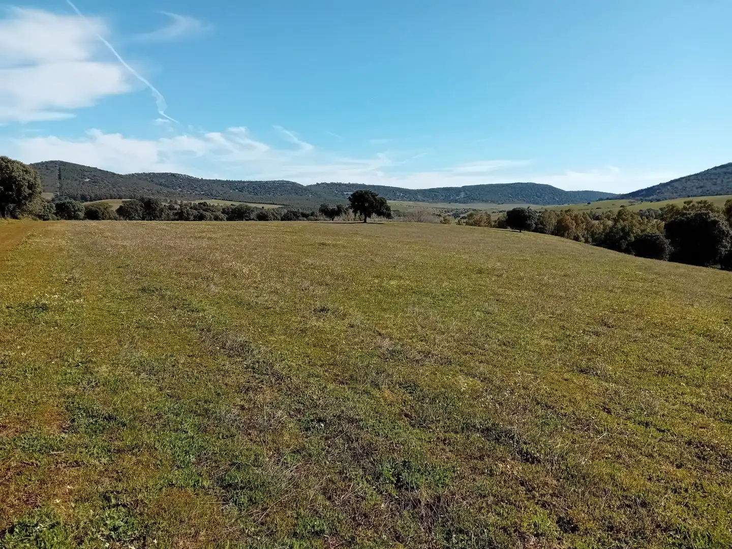 Residential for sale in Puebla de Don Rodrigo