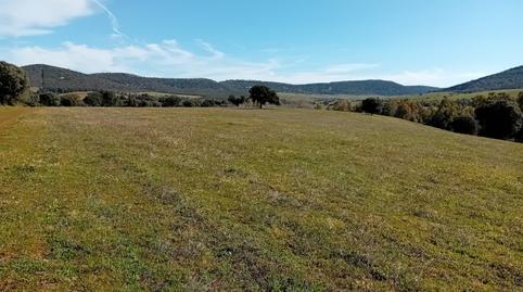 Photo 4 of Residential for sale in Puebla de Don Rodrigo, Ciudad Real