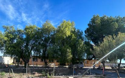 Vista exterior de Finca rústica en venda en Crevillent amb Calefacció