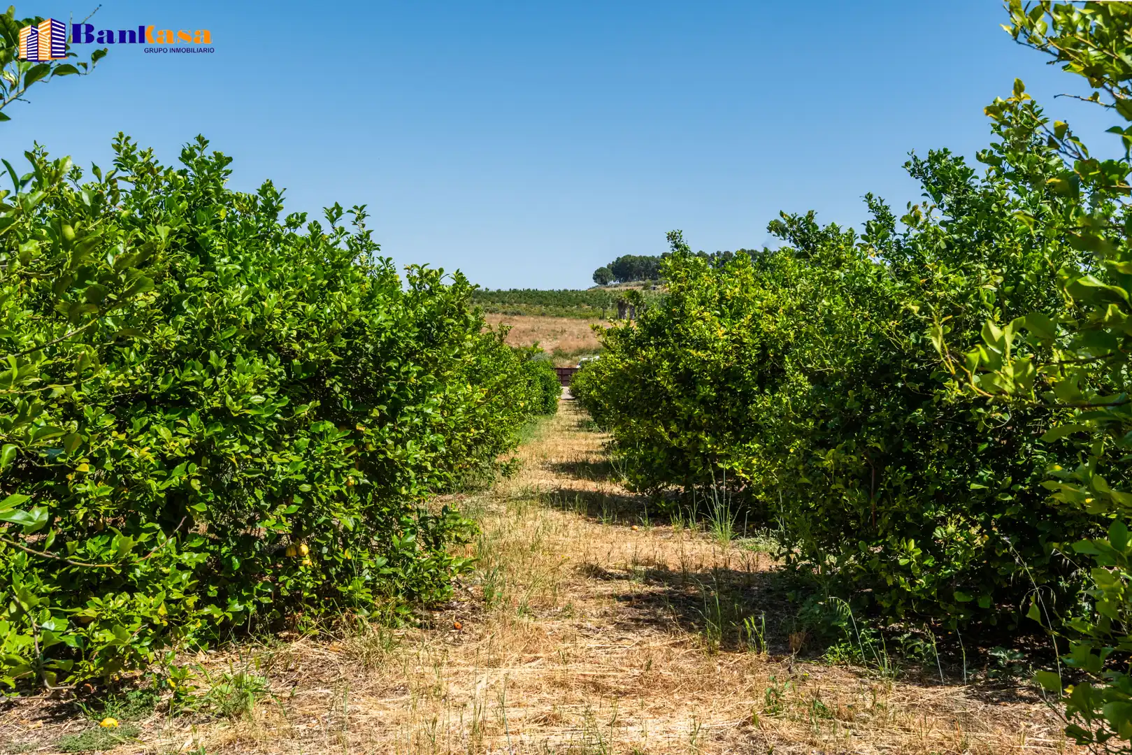 Terreno en venta en Pizarra