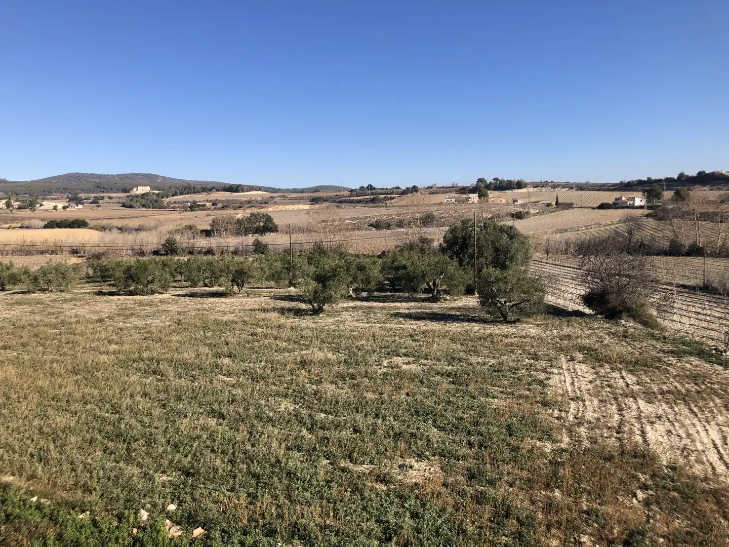 Finca rústica en venta en Castellví de la Marca