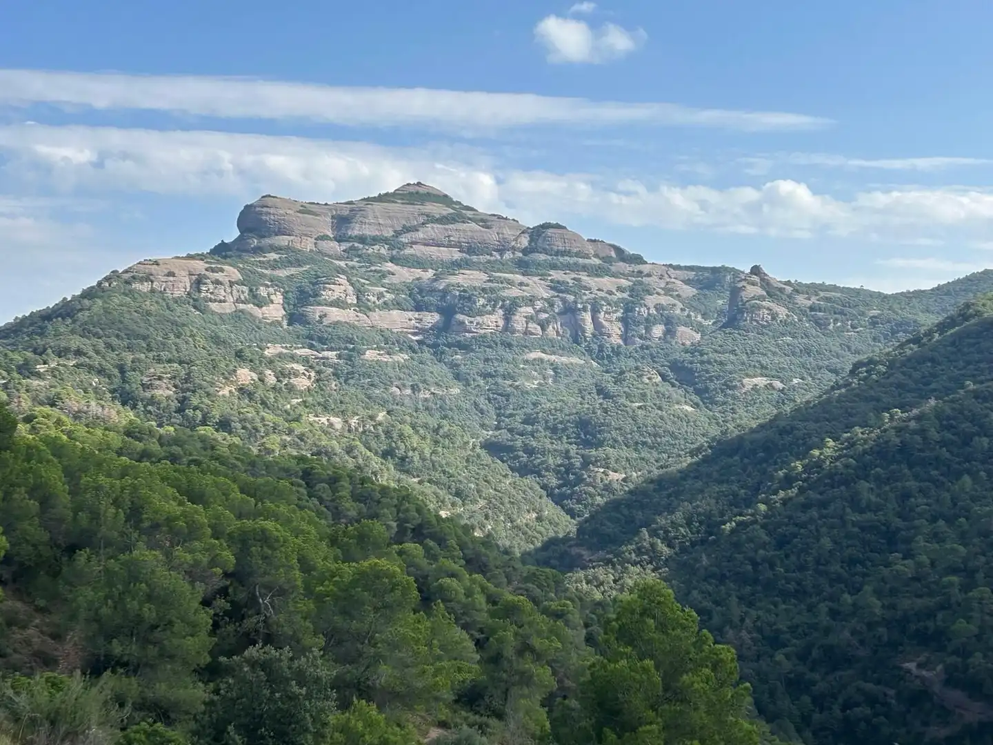 Vista exterior de Finca rústica en venda en Mura amb Jardí privat i Piscina