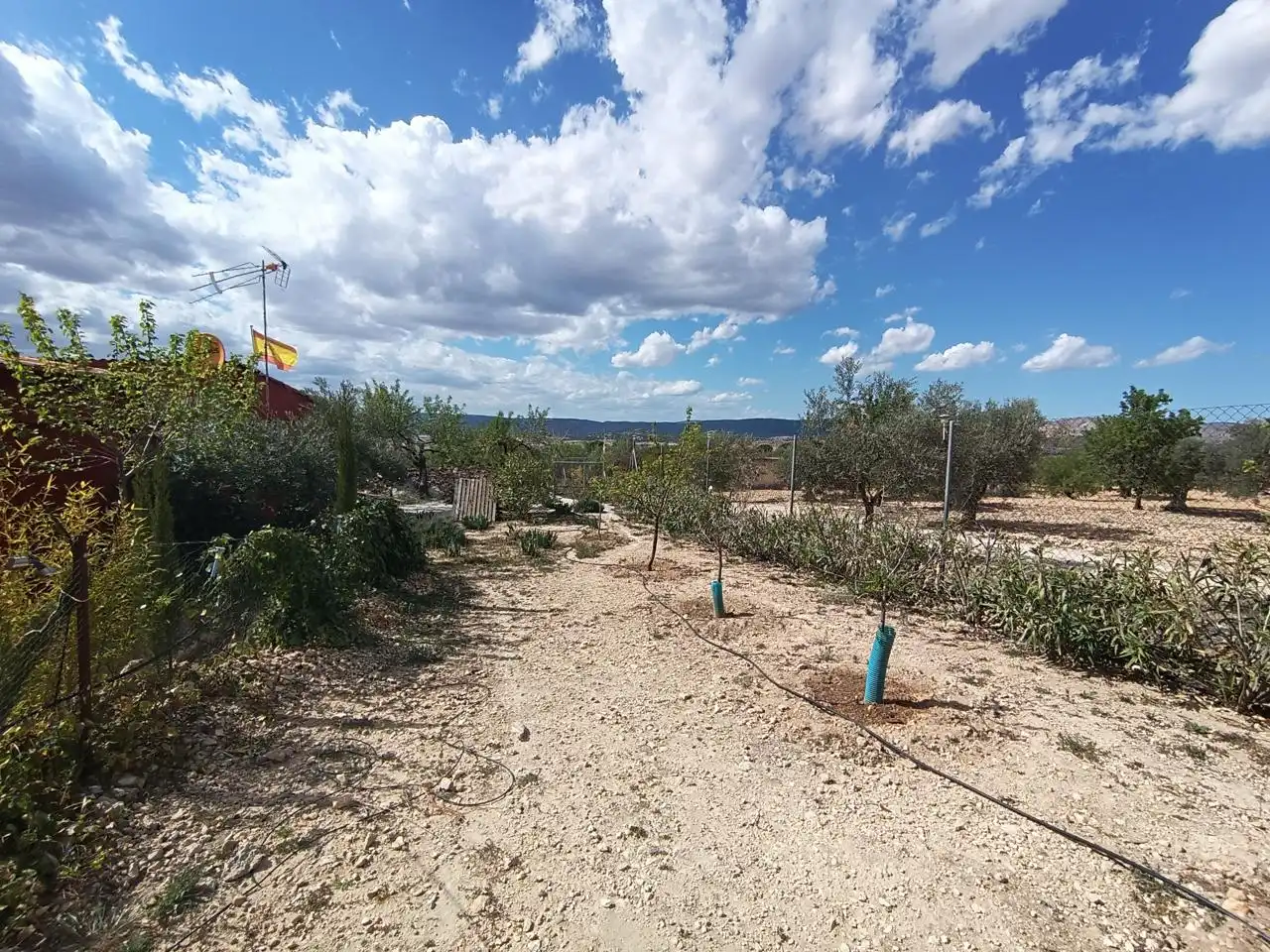 Casa in vendita a Biar, imagen 16