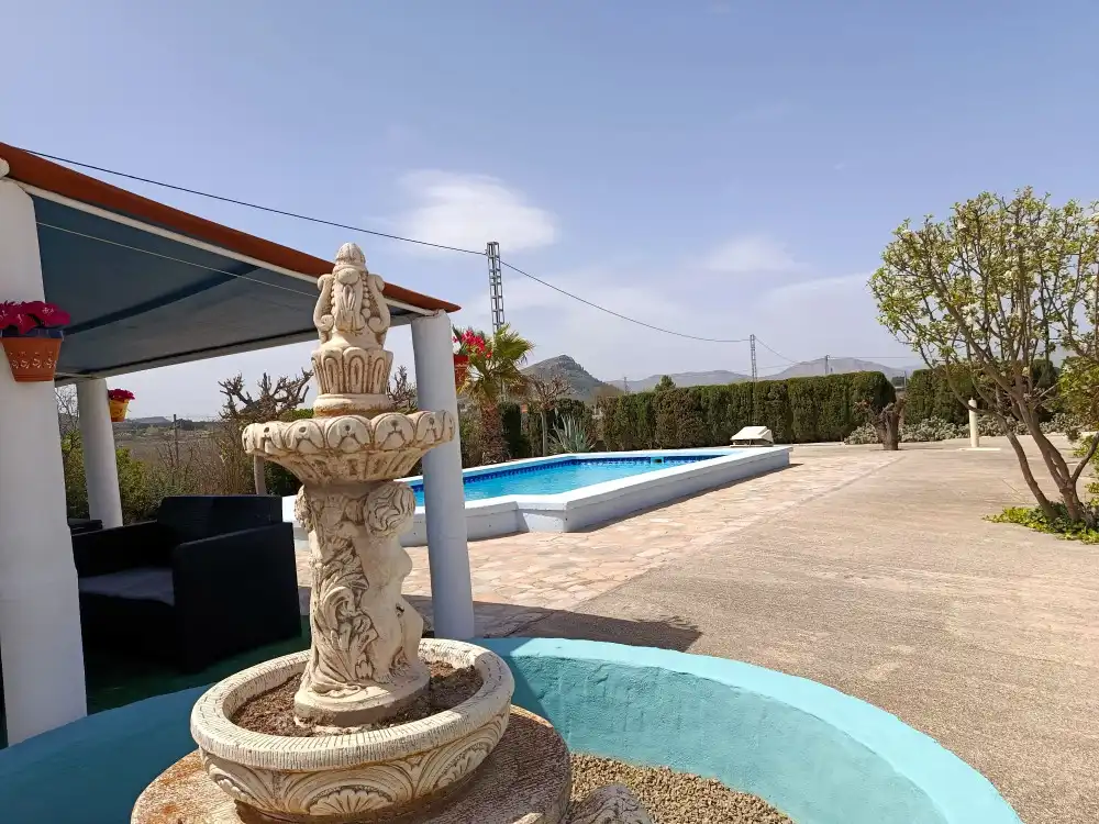 Swimming pool of Flat for sale in Villena