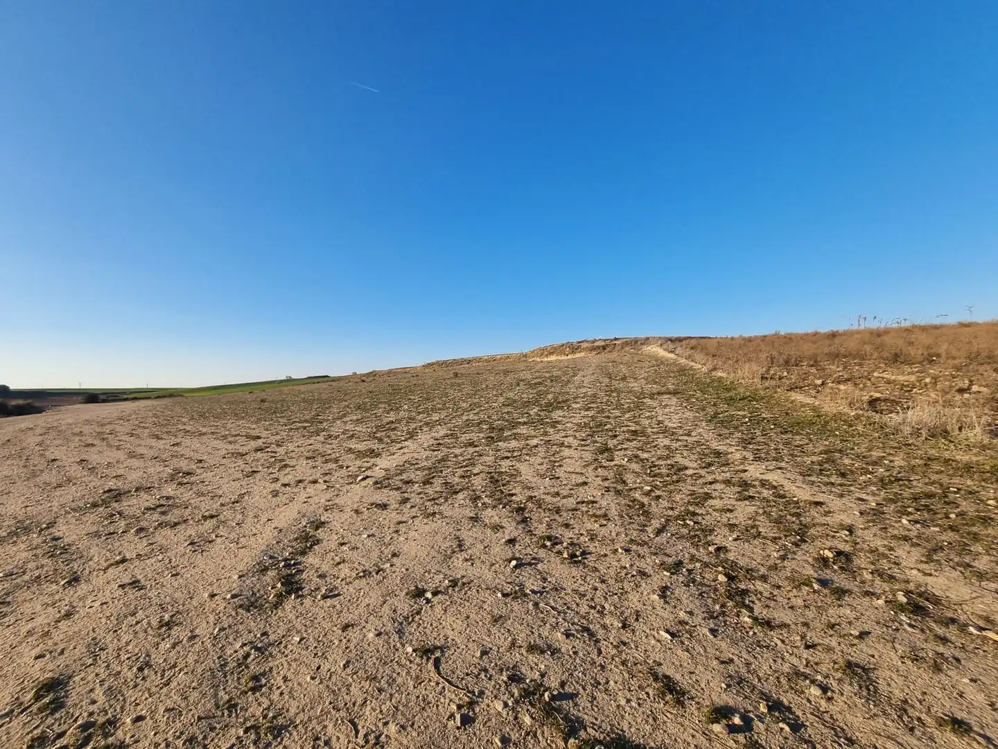 Rural land for sale in El Álamo, imagen 15