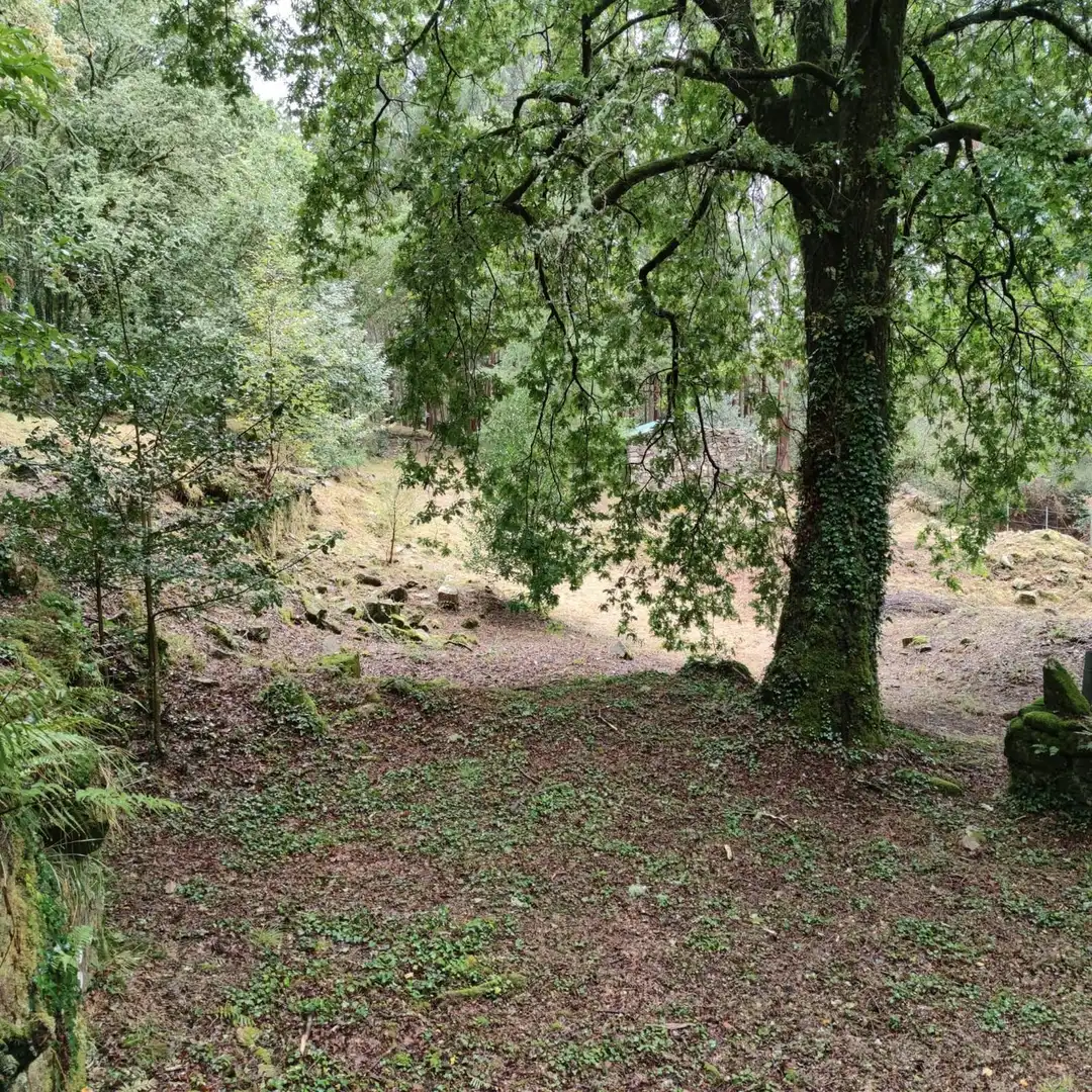 Land for sale in Cotobade