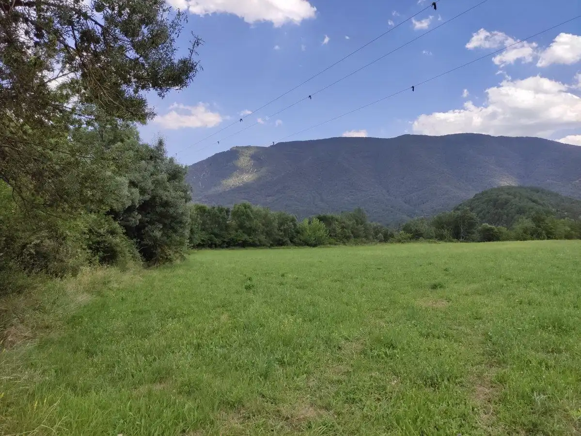 Finca rústica en venta en Fiscal