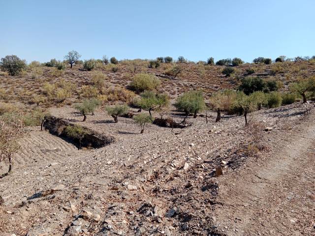 Terreno en Venta en N/A en Tahal