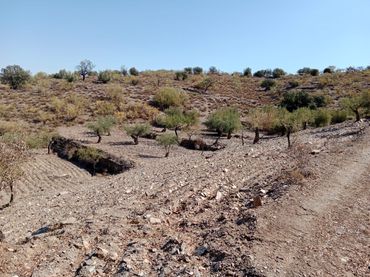 Terreno rustico in vendita a Tahal