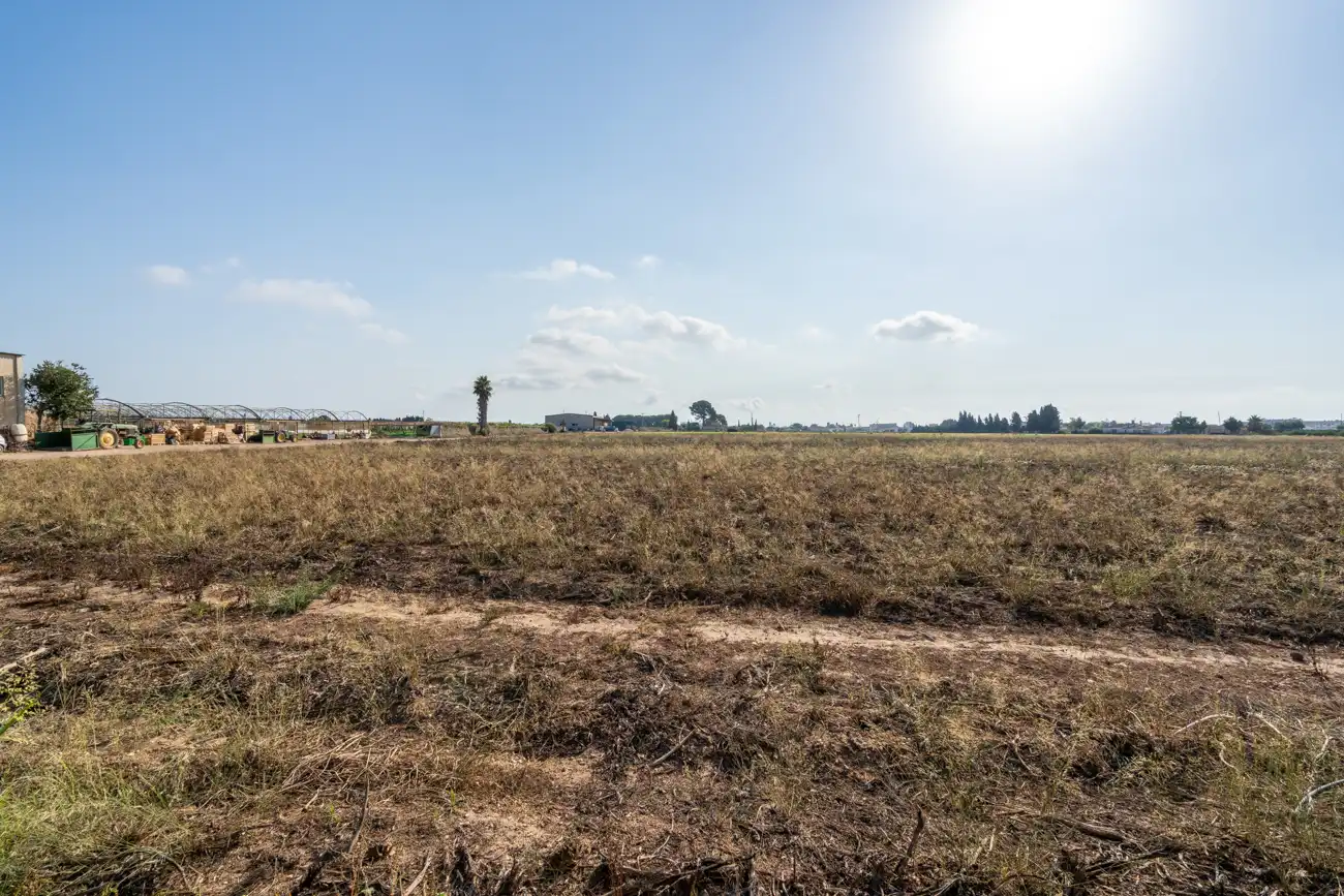 Finca rústica en venda en L'Aldea amb Jardí privat, Terrassa i Moblat