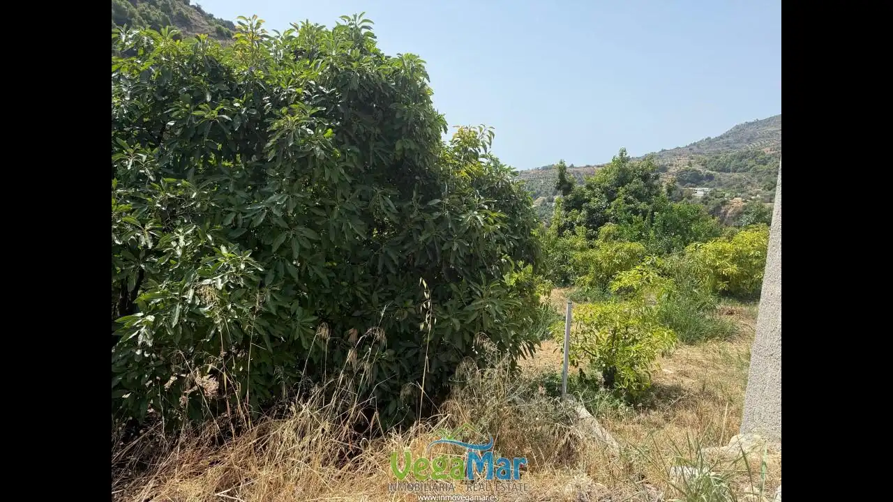Grundstücke und Bauplätze zum Verkauf in Los Bancales, imagen 2