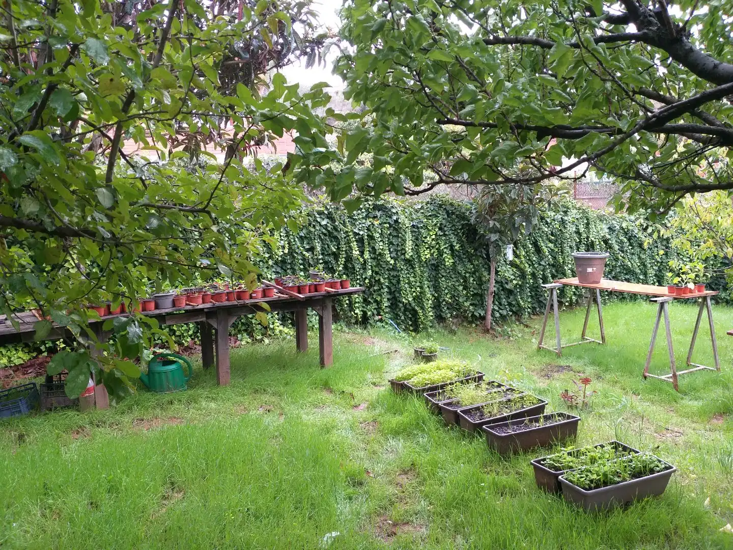 Wohnbaugrundstück zum Verkauf in Montjuic 39, imagen 10