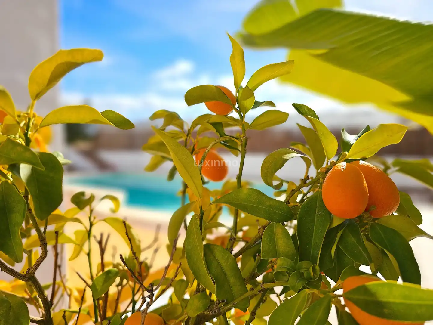Chalet con piscina en venta en Sant Antoni de Portmany, imagen 55