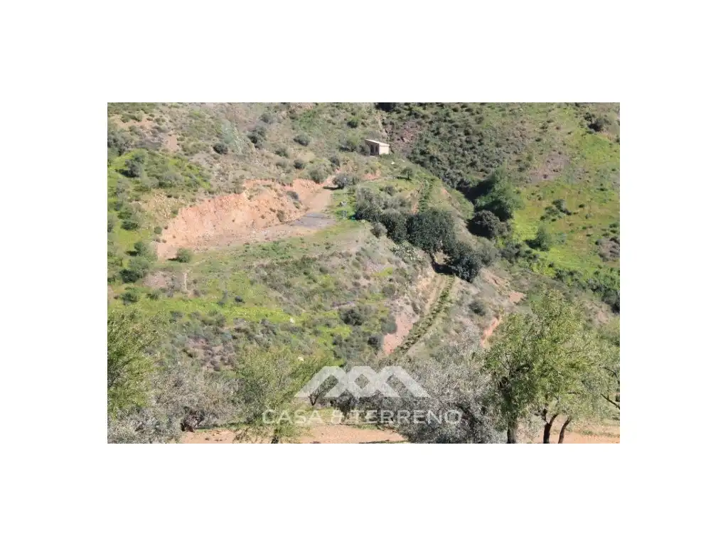Residential for sale in El Borge