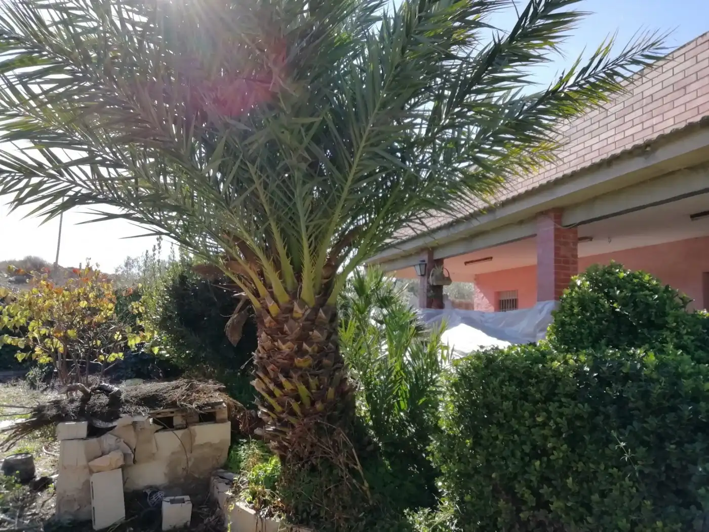 Villa avec terrasse à vendre à Monóvar  / Monòver, imagen 11