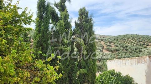 Foto 3 de Casa adosada en venda a Villanueva de Algaidas, Málaga