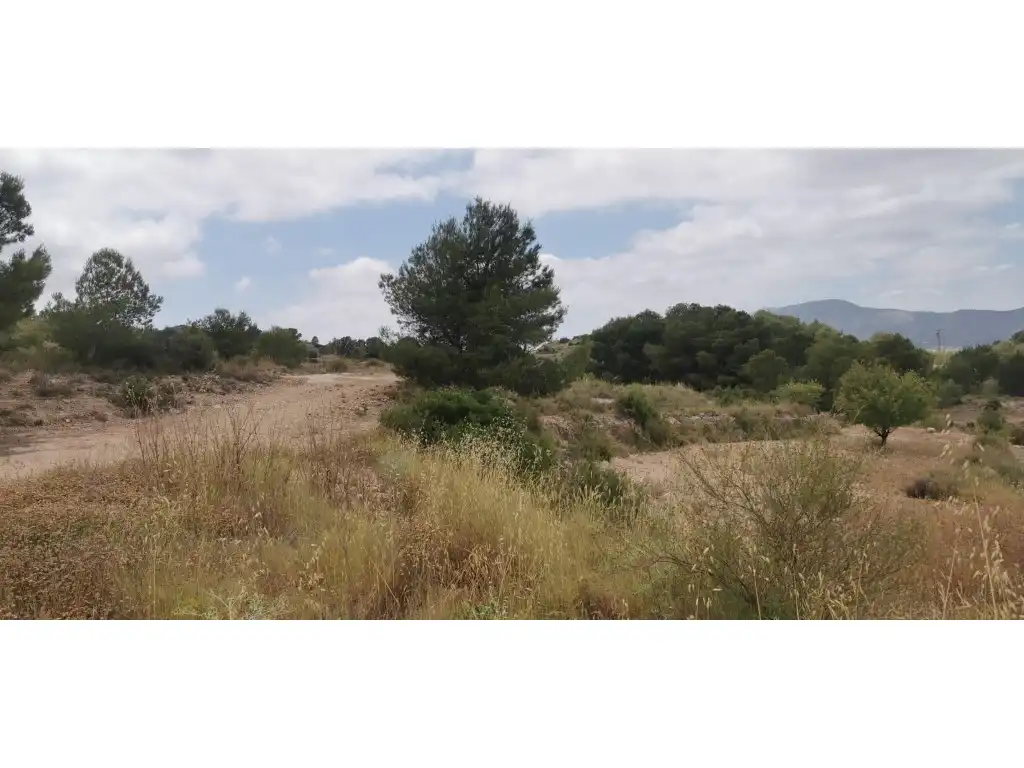 Terrain rustique à vendre à Poligono 7 Paraje 94 Umbria