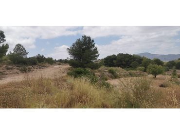 Terrain rustique à vendre à Poligono 7 Paraje 94 Umbria