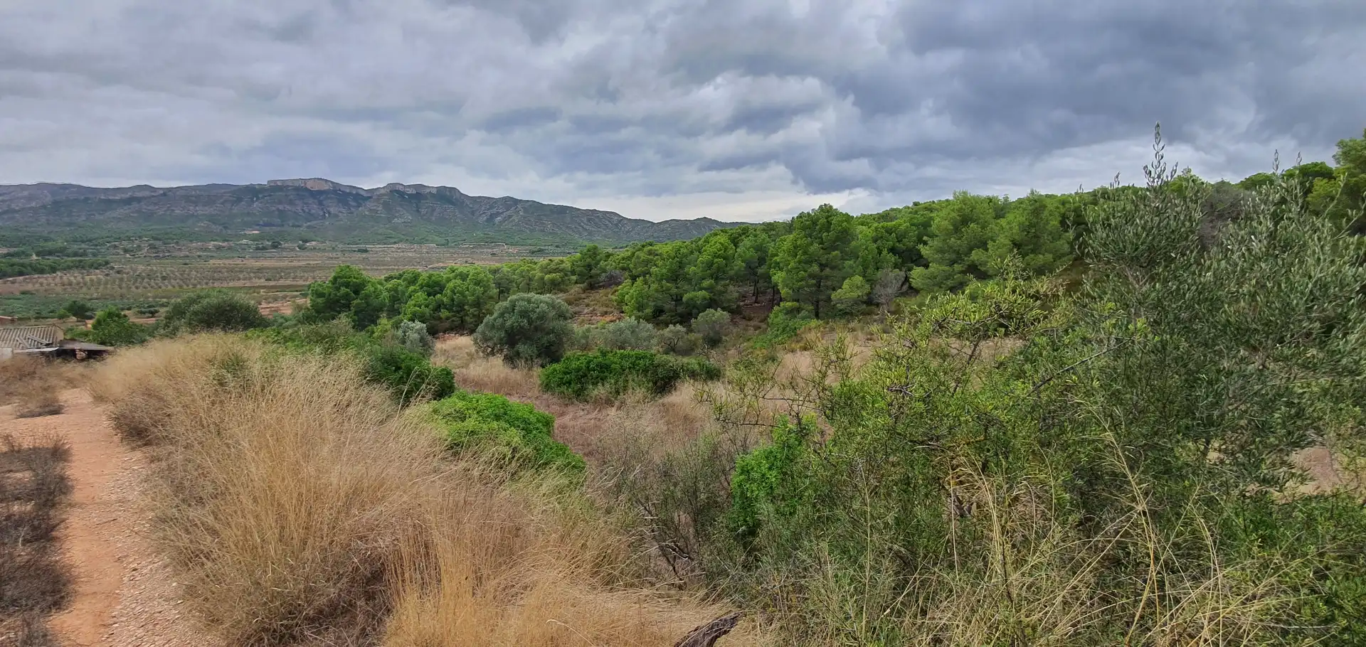 Rustikales Grundstück zum Verkauf in El Pinell de Brai, imagen 19