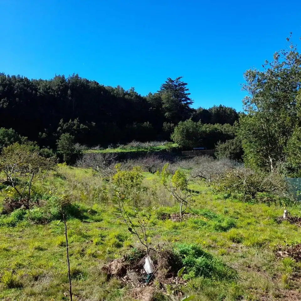 Rural land for sale in Hoya De Manzaneros, imagen 2