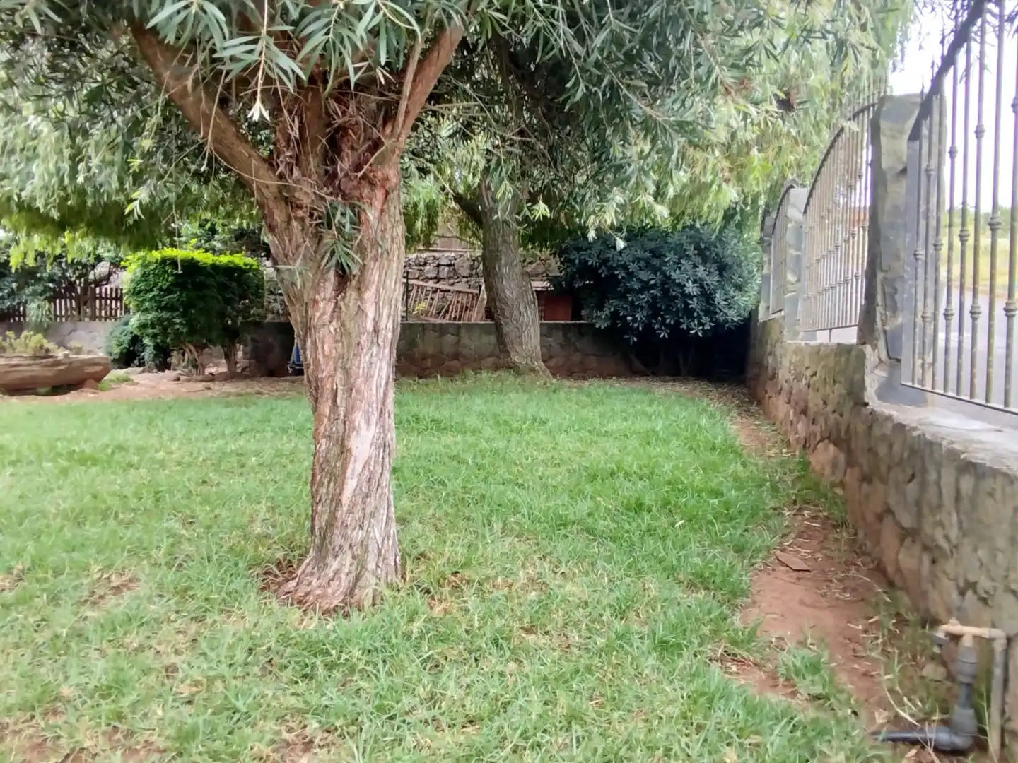 Jardín de Casa o chalet en venta en Tacoronte con Jardín privado, Terraza y Trastero