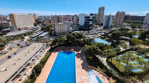 Photo 4 of Flat to rent in Avenida Benidorm, Playa de San Juan, Alicante