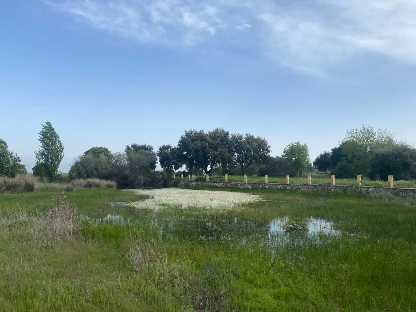 Land for sale in Oropesa
