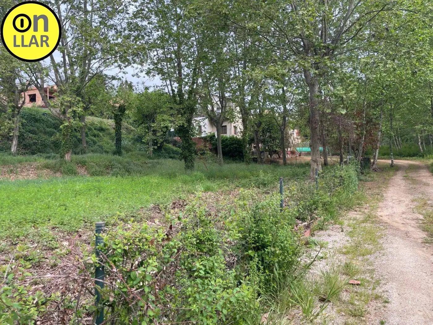 Residential land for sale in Calle Alzina, imagen 16