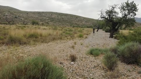 Terreno en Hondón de los Frailes, imatge 5