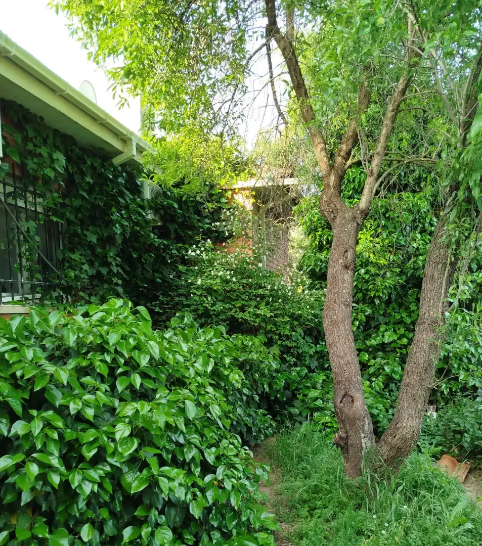 Jardí de Casa o xalet en venda en Fuentidueña de Tajo amb Aire condicionat, Calefacció i Jardí privat