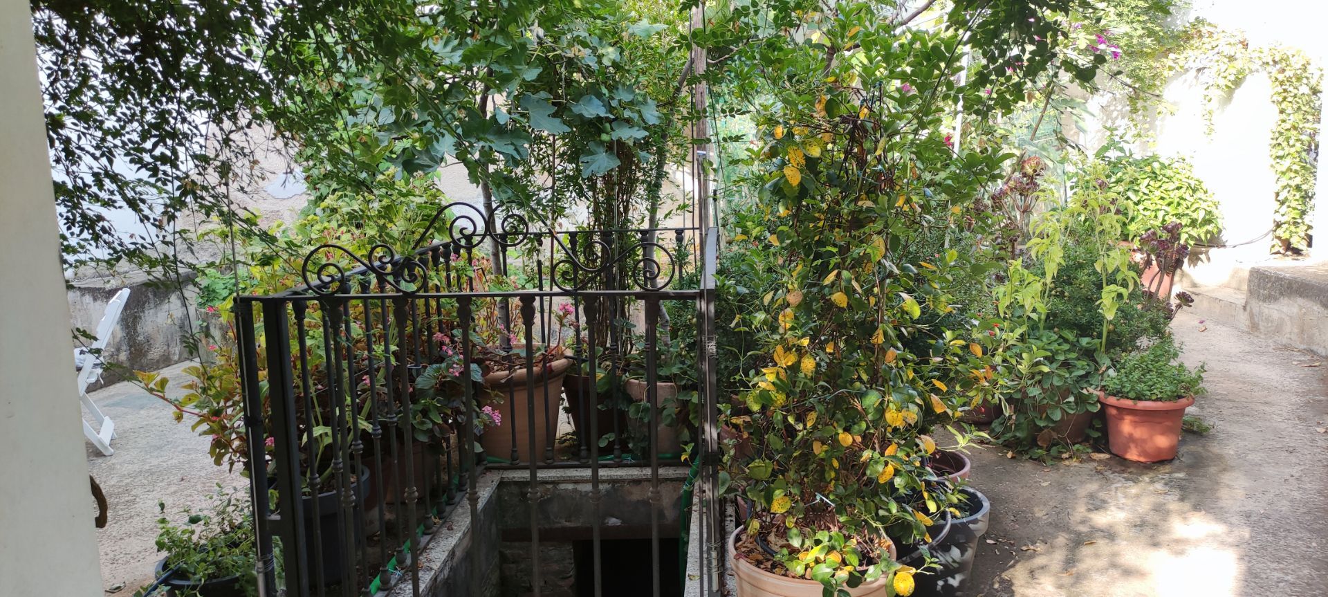 Jardí de Casa o xalet en venda en Don Benito