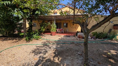 Foto 2 de Finca rústica en venta en Alcanar, Tarragona