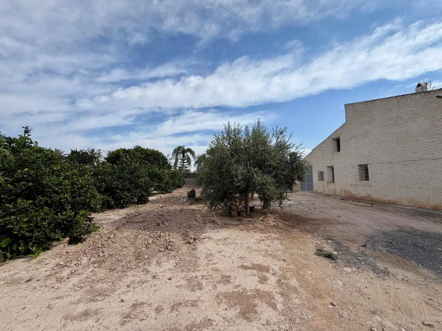 Houses for sale in Elche / Elx