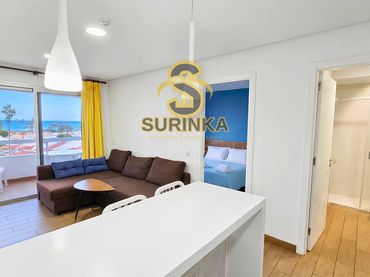 Attico con piscina in affitto a finlandia1
