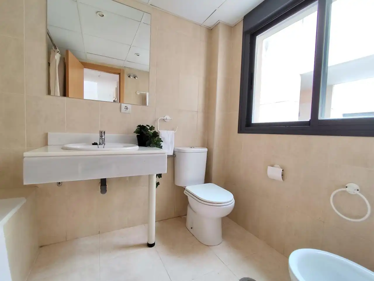 Apartment mit Pool zum Verkauf in Puerto Rey, imagen 12