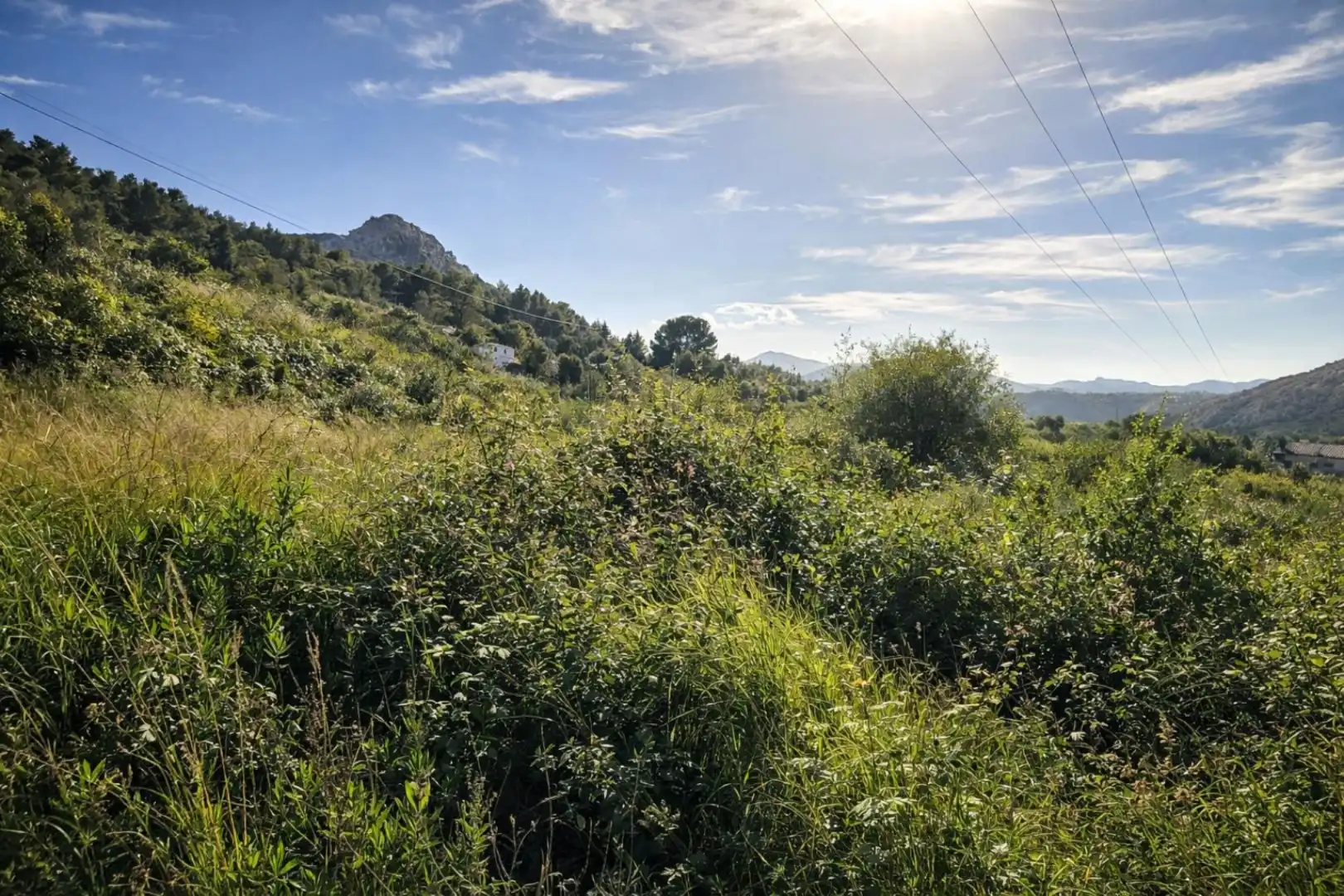Rural land for sale in Carrer Trinquet 7, imagen 11