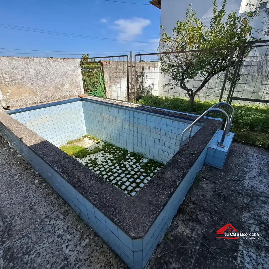 Swimming pool of Houses for sale in Córdoba  with Swimming Pool