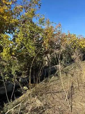 Terreny rústic en venda a Polígono Polígono, imagen 11