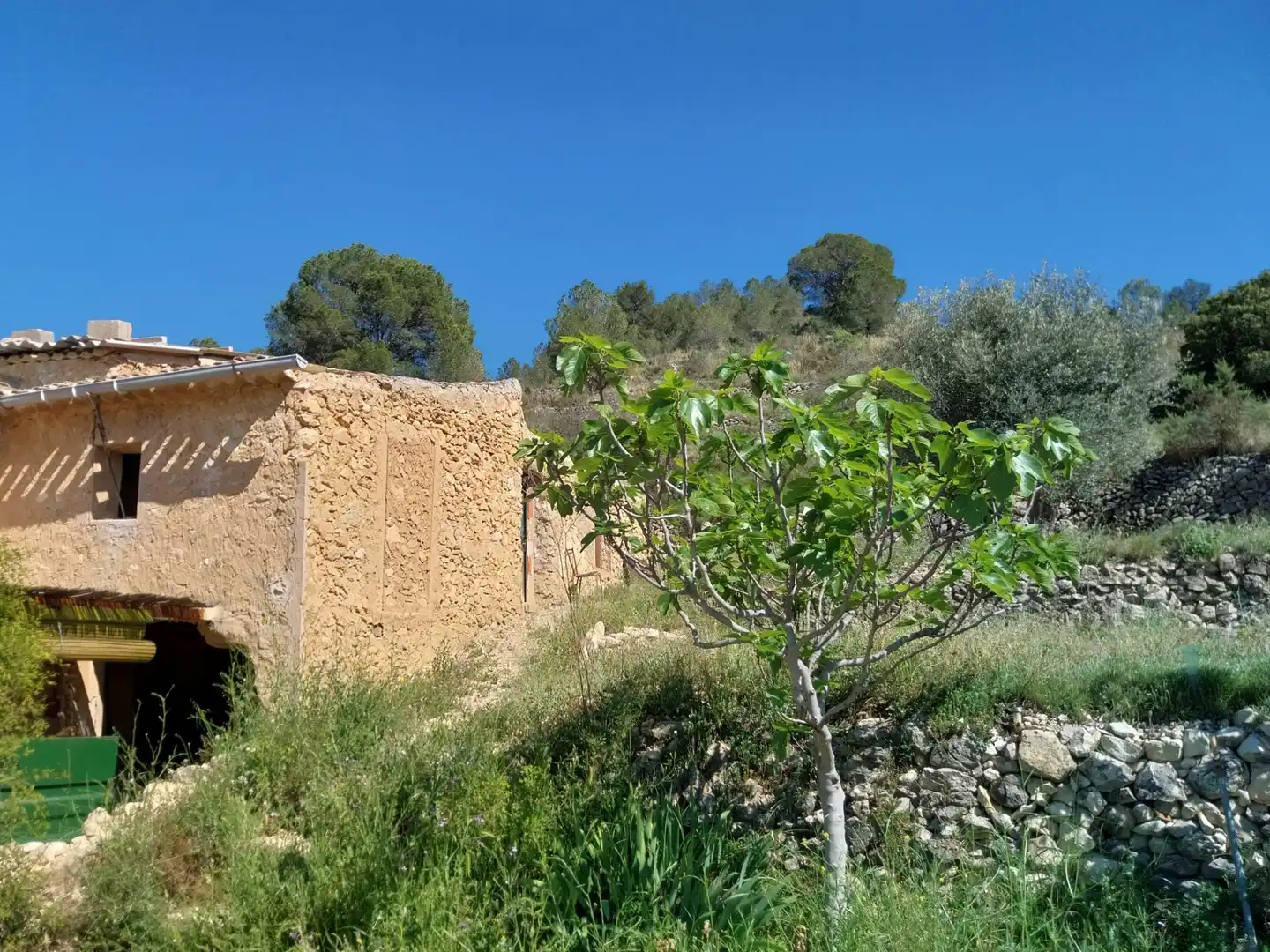 Terreno rustico in vendita a Lugar Castillo, imagen 42