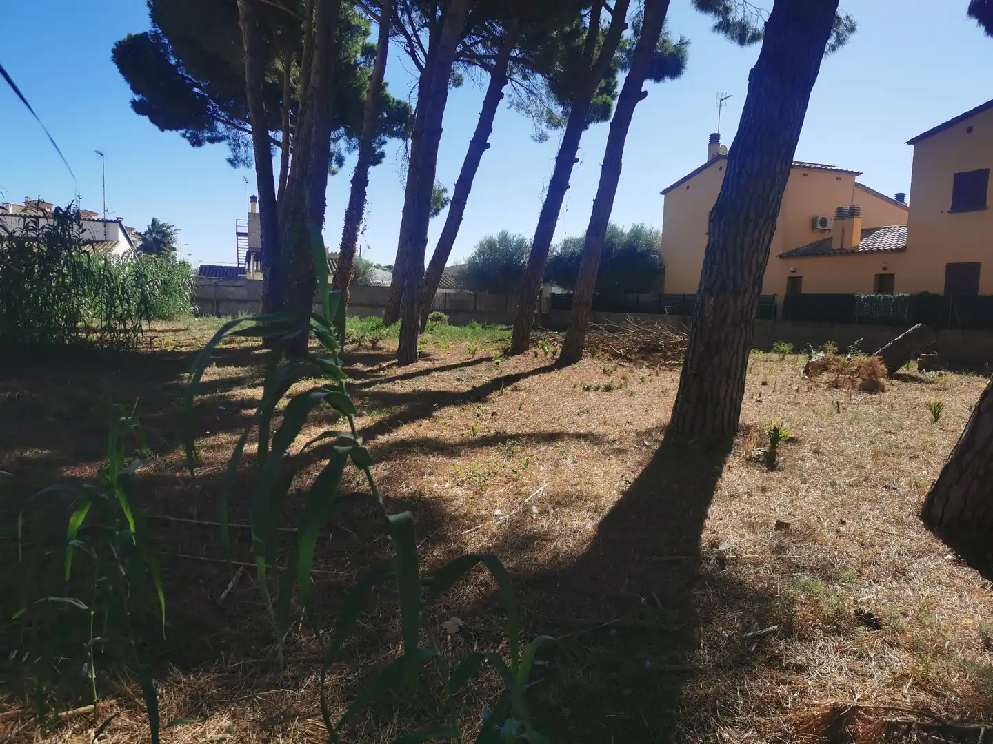 Residential land for sale in Carrer Riells de Dalt, imagen 8