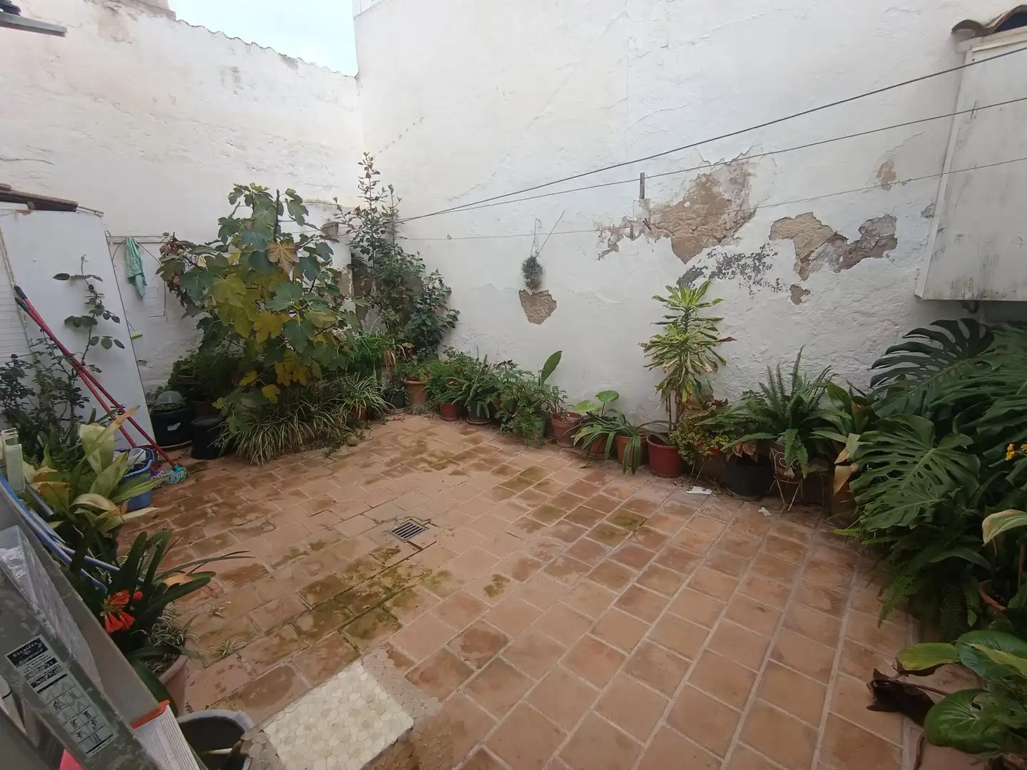 Jardí de Casa o xalet en venda en  Palma de Mallorca amb Aire condicionat, Terrassa i Traster