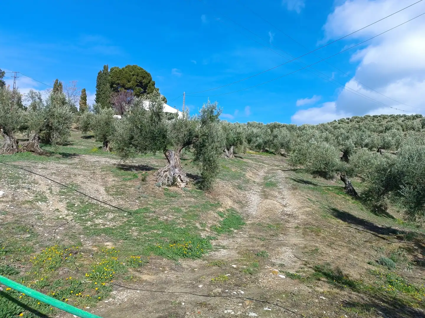 Casa rústica amb jardí en venda a Puente Jontoya - Puente de la Sierra - El Arroyo, imagen 18