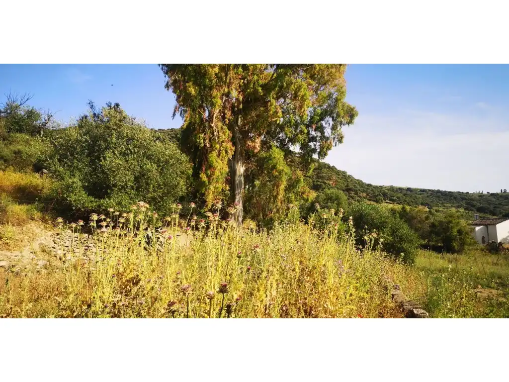 Casa o chalet en venta en Benadalid