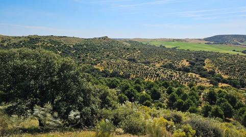 Photo 2 of Land for sale in N/a, -1, Las Herencias, Toledo