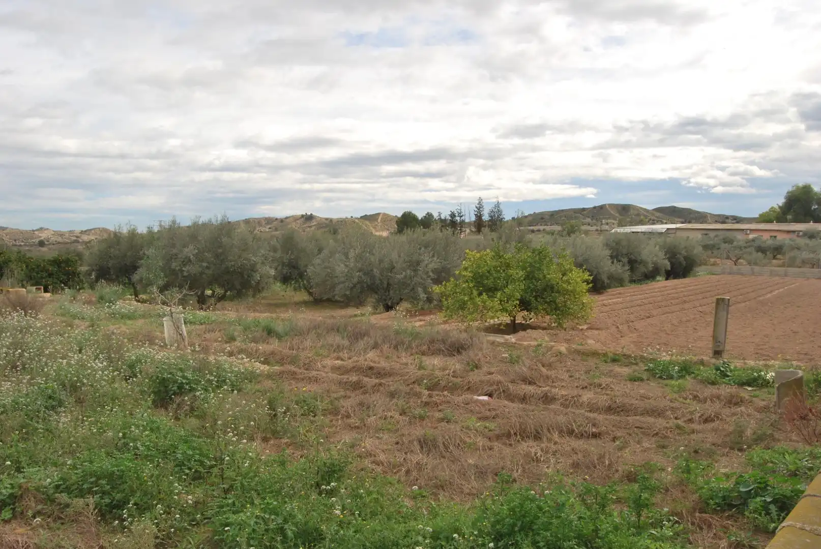 Finca rústica en venta en Murcia con Aire acondicionado, Jardín privado y Terraza