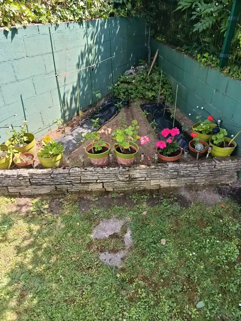Jardí de Casa o xalet en venda en Sada (A Coruña)