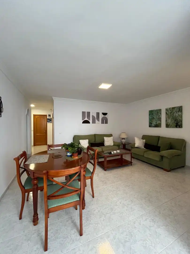 Sala de estar de Piso de alquiler en Las Palmas de Gran Canaria con Terraza y Amueblado