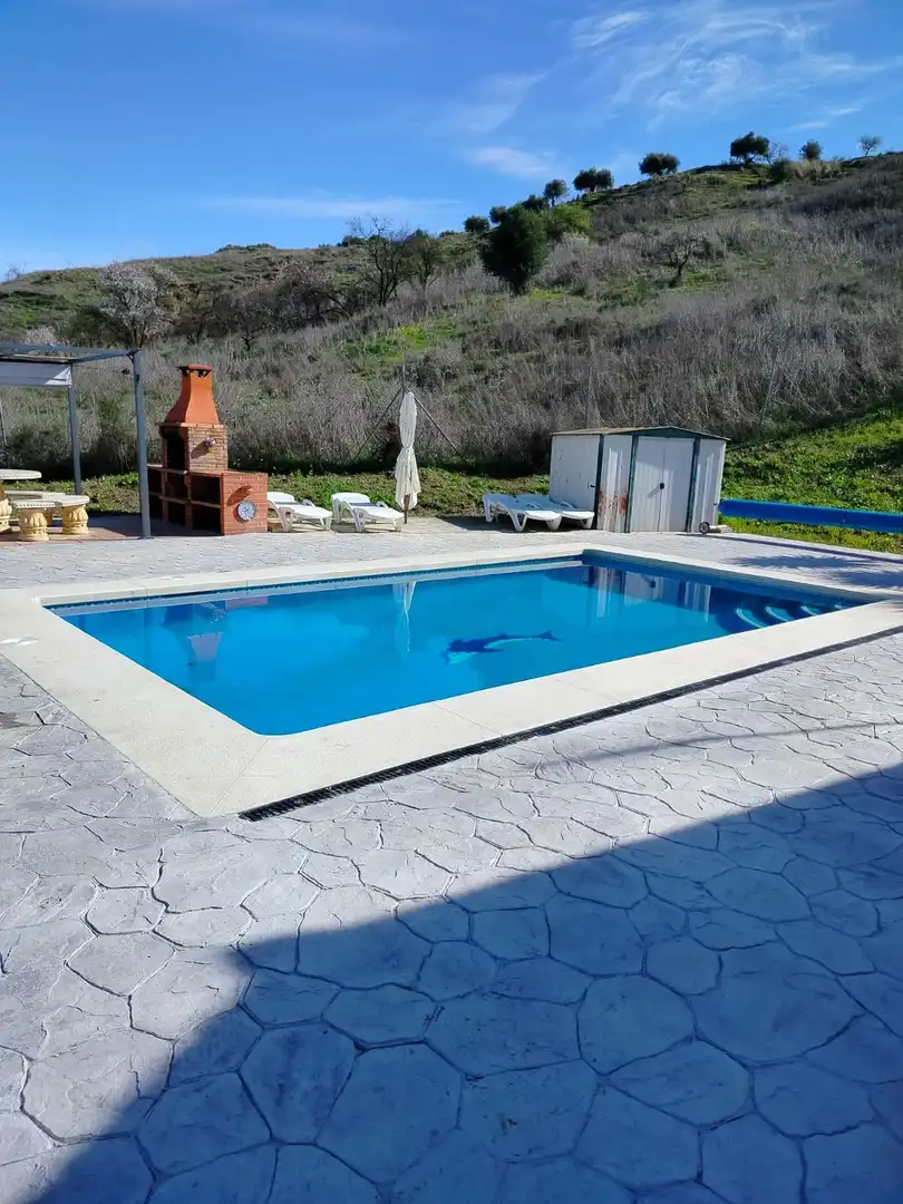 Piscina de Finca rústica en venta en Coín con Piscina comunitaria
