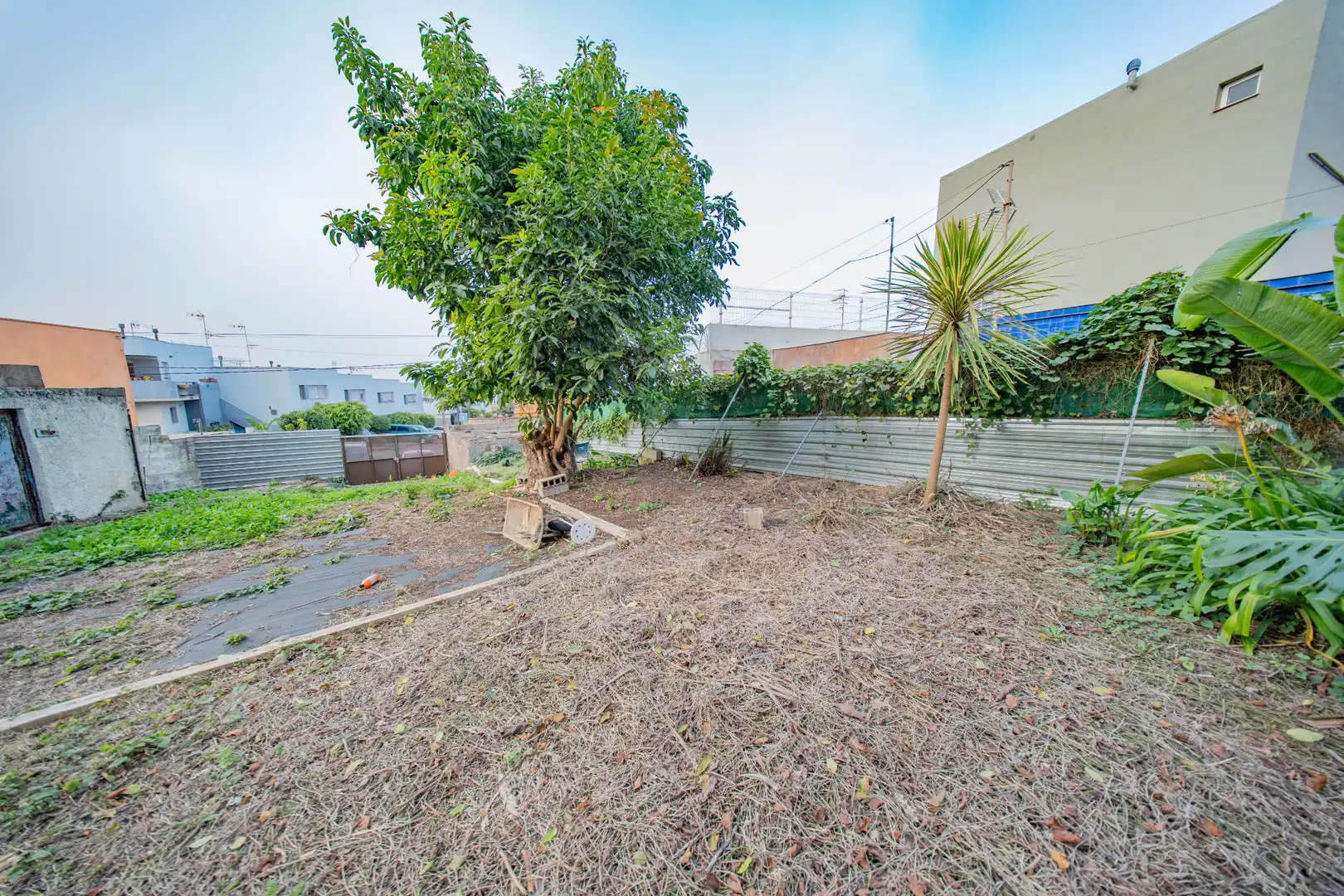 Jardín de Casa o chalet en venta en Tacoronte