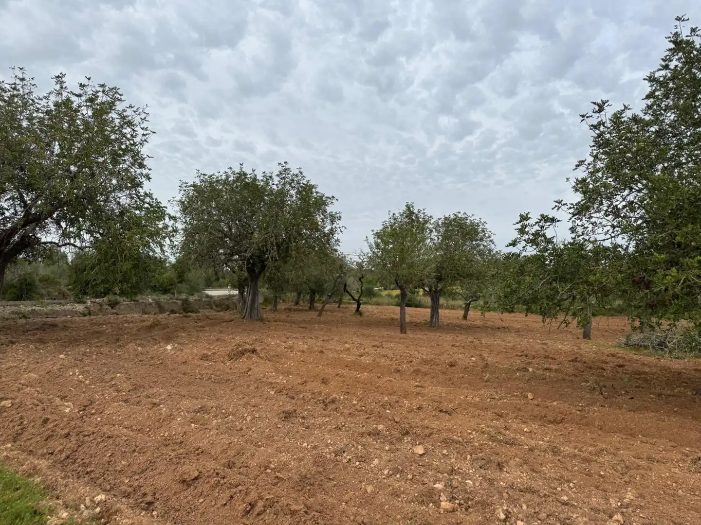 Rustikales Grundstück zum Verkauf in Camino Camí Vell de Porreres 2, imagen 37